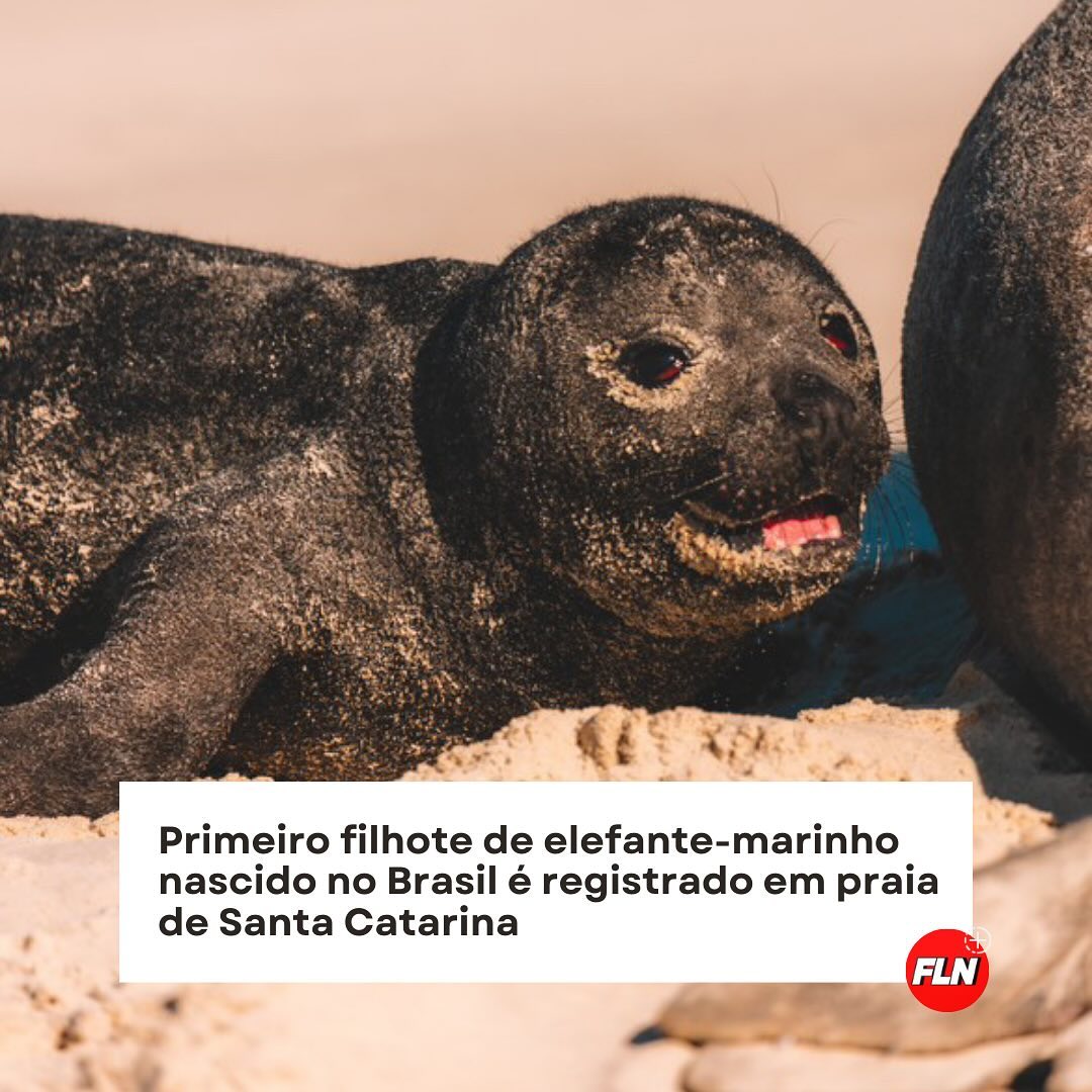Snapinsta.app_462897984_3838737619706139_718564947929584725_n_1080
