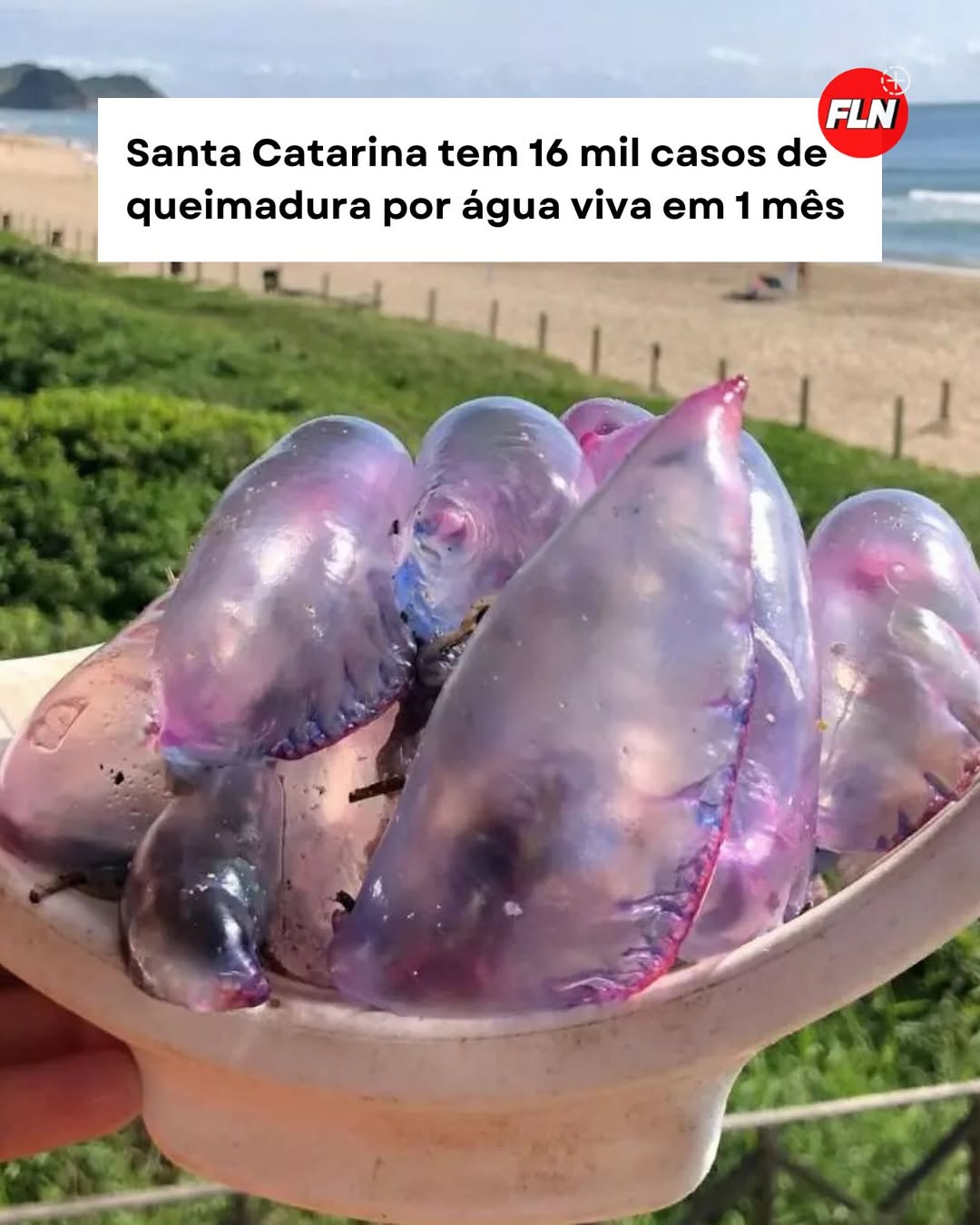 Snapinst.app_474899202_18481325263021828_8027644244469551046_n_1080
