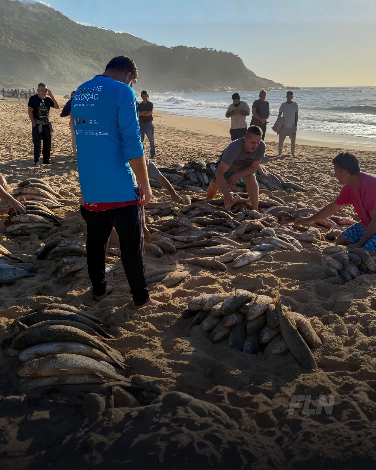 Governo Federal Libera Mais 400 Toneladas para Pesca da Tainha em Santa Catarina